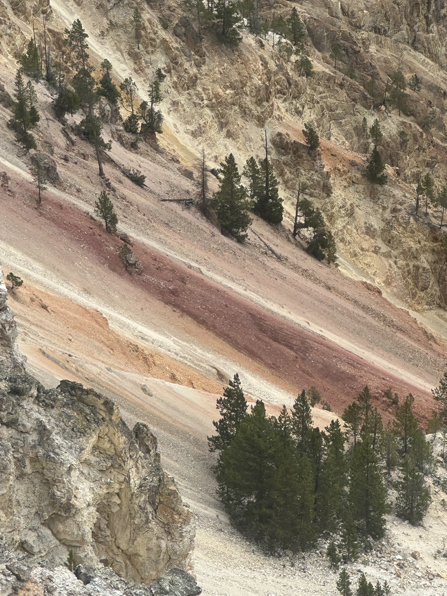 Yellowstone And Grand Teton National Parks - Image 631